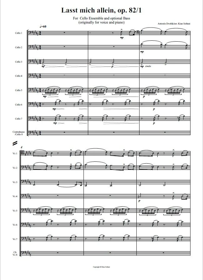 Lasst mich allein - Kian Soltani Thumbnail.jpg