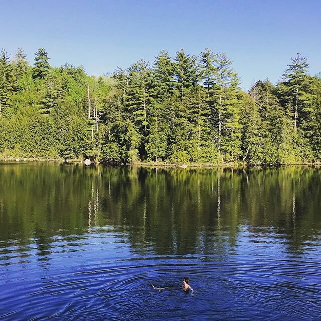 Lake swim 🏊&zwj;♂️ .
.
#gullpond #adarondacks #thinkgloballylivelocally #schroonlake #lakeswimming #lakelife #lake