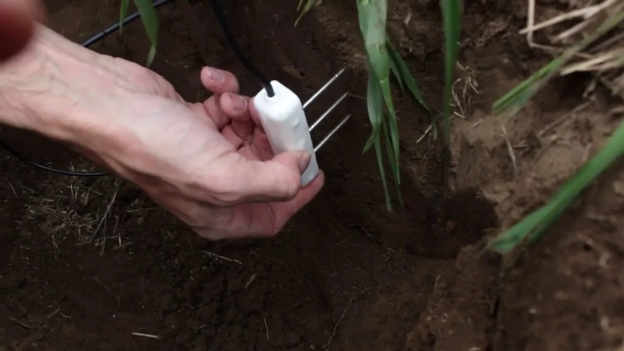 decagon soil.jpg