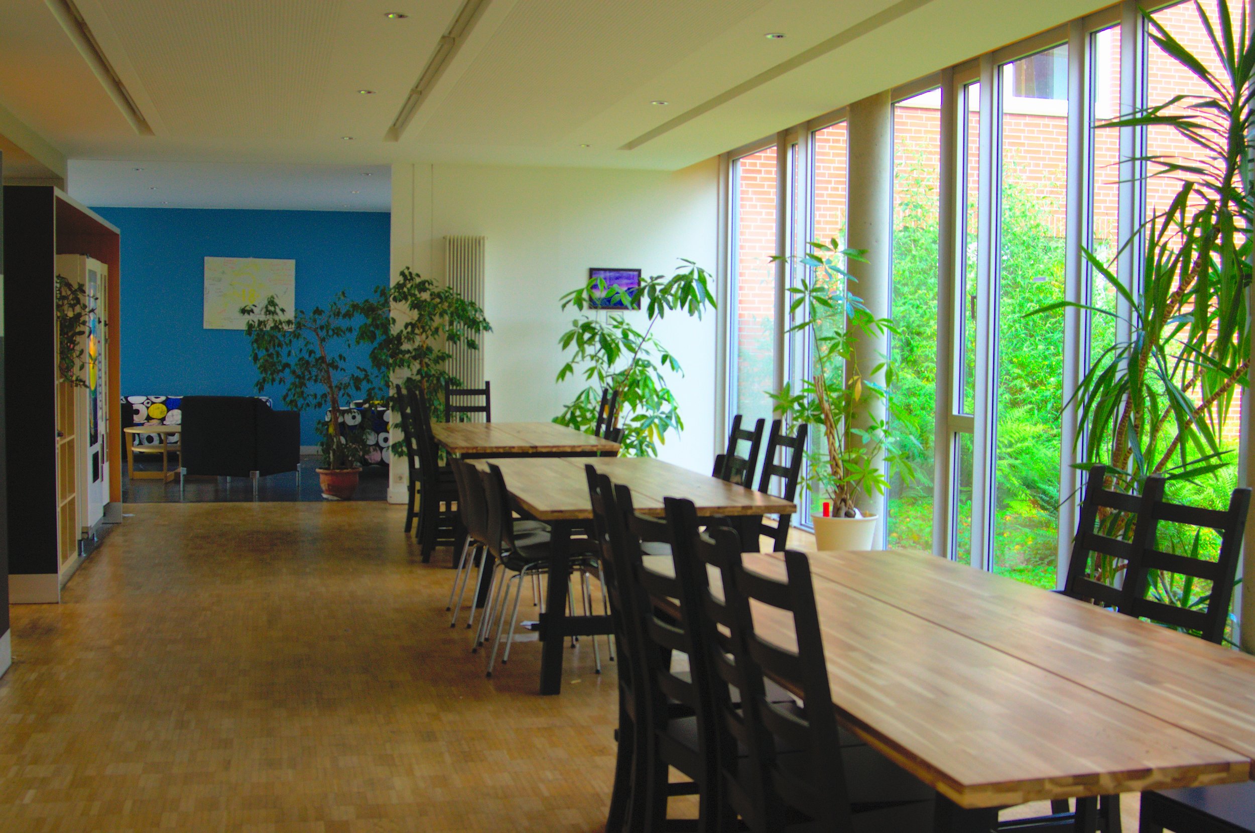 Mercator servery