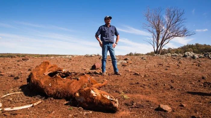 Greg Jerry, owner of a 3,300 hectare farm near the town of Coonabarabran in NSW, has lost 60 sheep and a dozen cows to the drought © Graham Jepson/FT