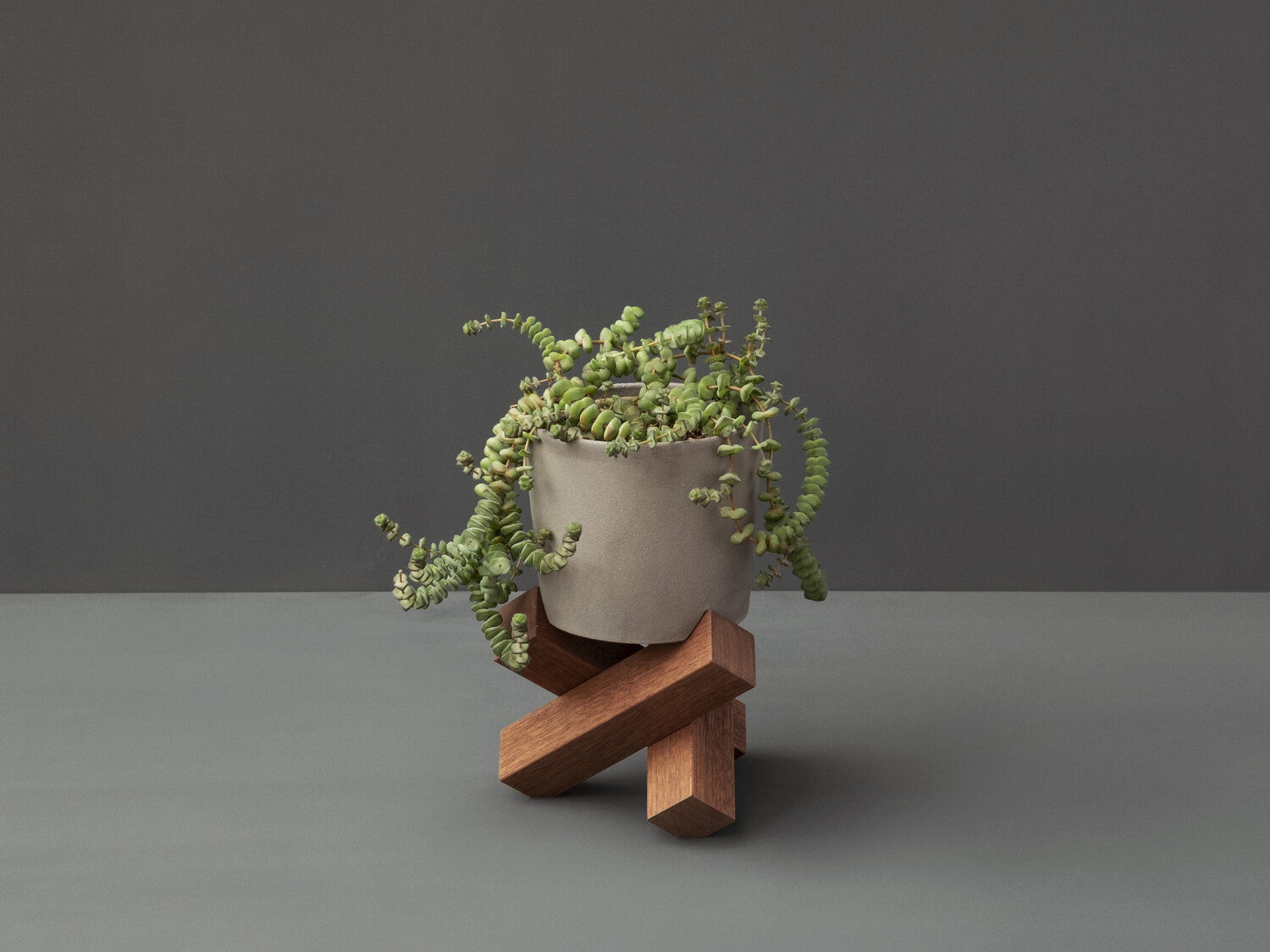 Sarang Plant Pot and Stand - Medium - Artists and Objects
