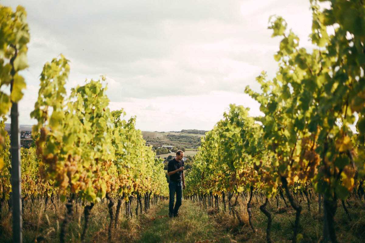 weingut_forster_shoot_steffenhenkel_web-10.jpg