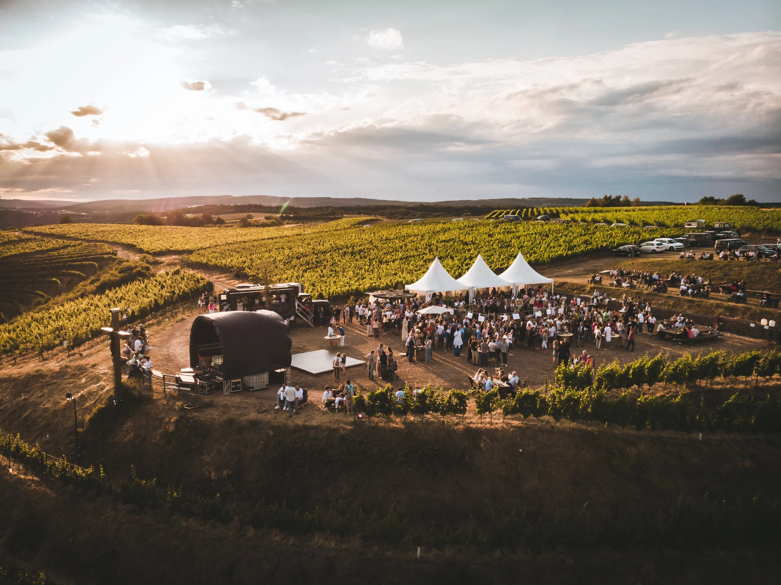 Rebenbeben in Wallhausen 