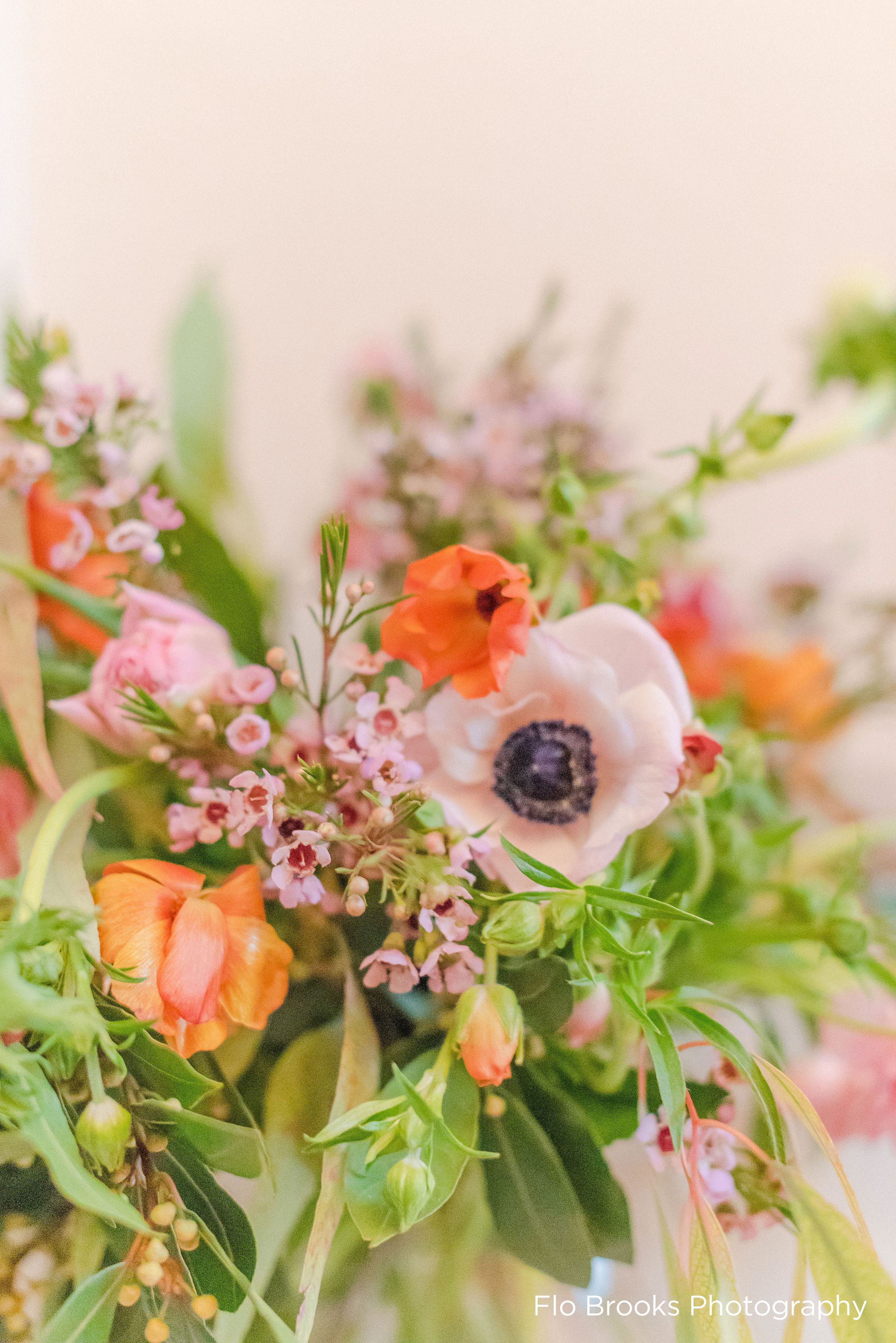 Poppies and ranunculus