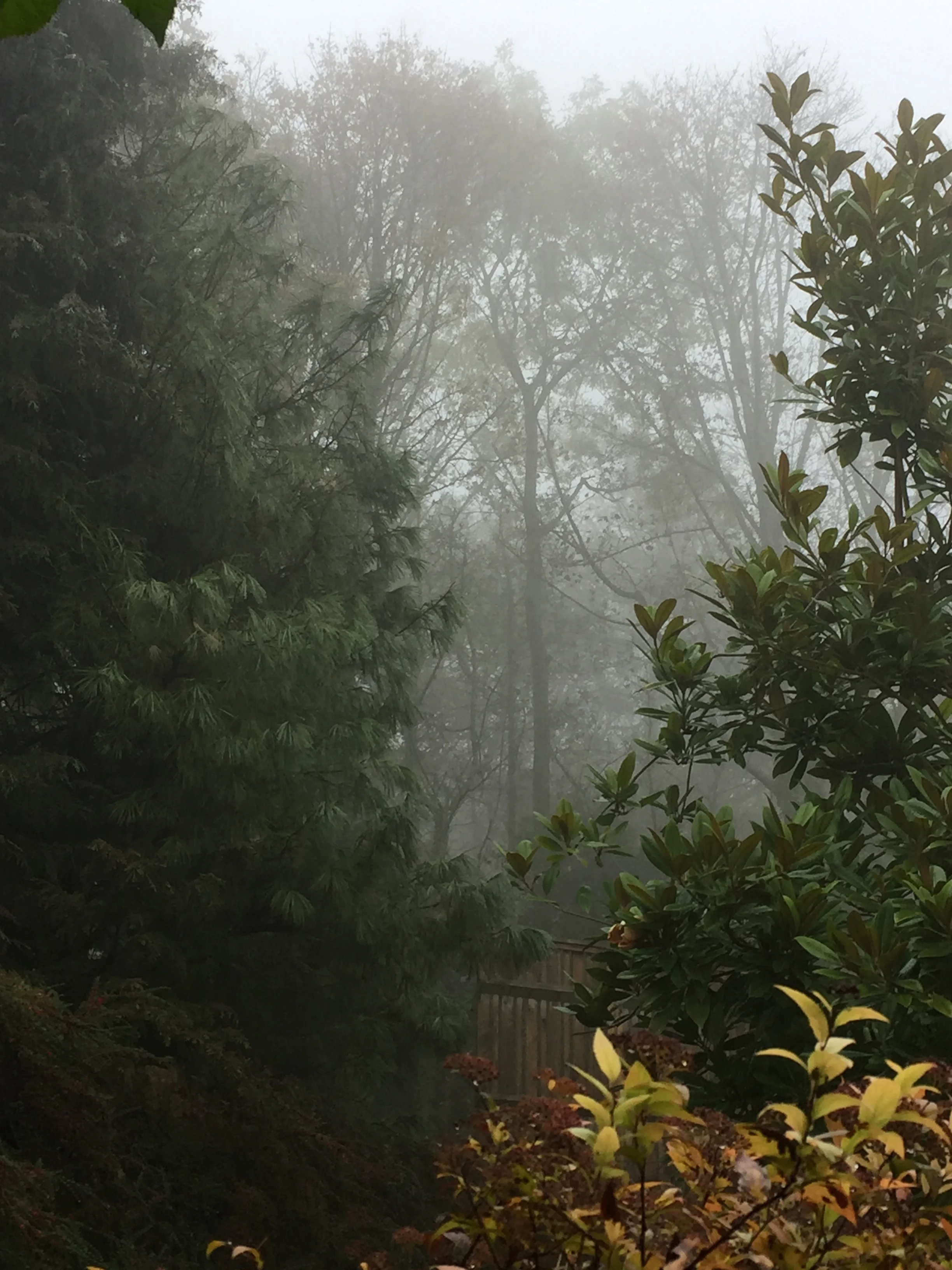 Up in the clouds . . . 