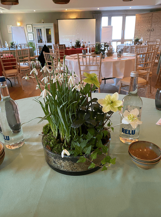 Spring arrangement.png