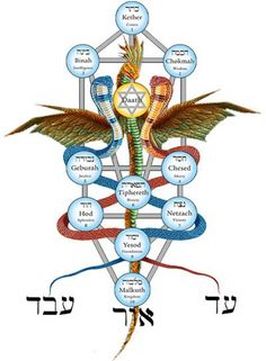 Tree Of Life Kabbalah Elements / Kabbalah is the basis of all religions, sciences, philosophies, and arts.