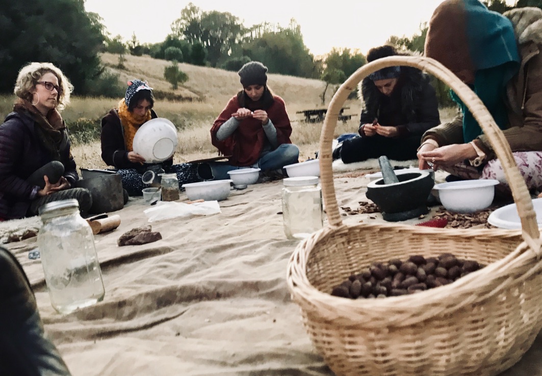 Austin Creek Acorn process.jpg