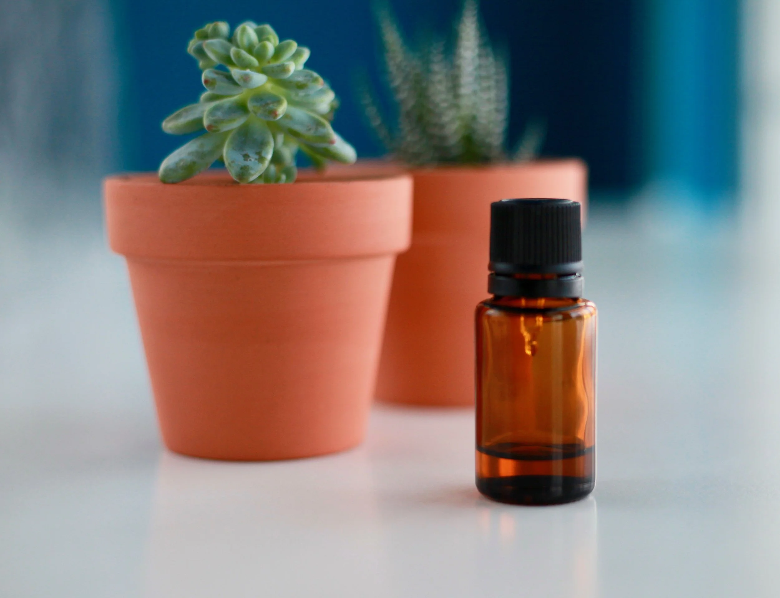 Interview with Vera Matovina from Plant Power on Essential Oils