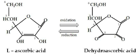 The-chemical-structure-of-vitamin-C-corresponds-to-that-of-a-lactone-L-ascorbic-acid_large.png