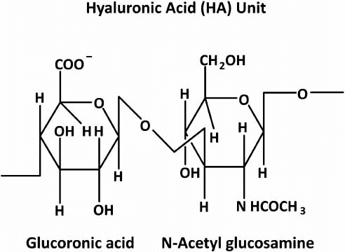 Fig-1-Structure-of-Hyaluronic-acid-molecule-HA_grande.png