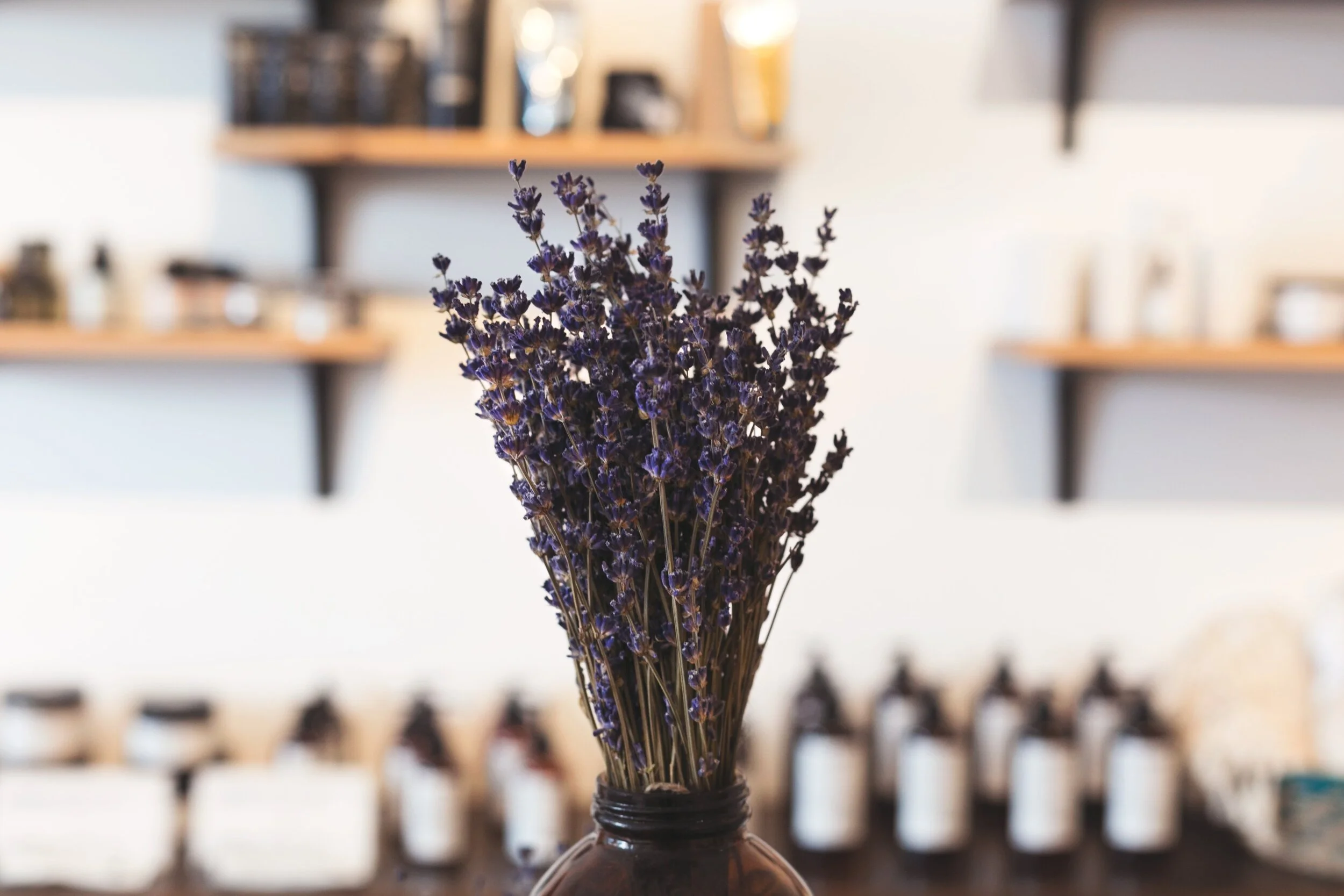 lavender-in-shop_4460x4460.jpg