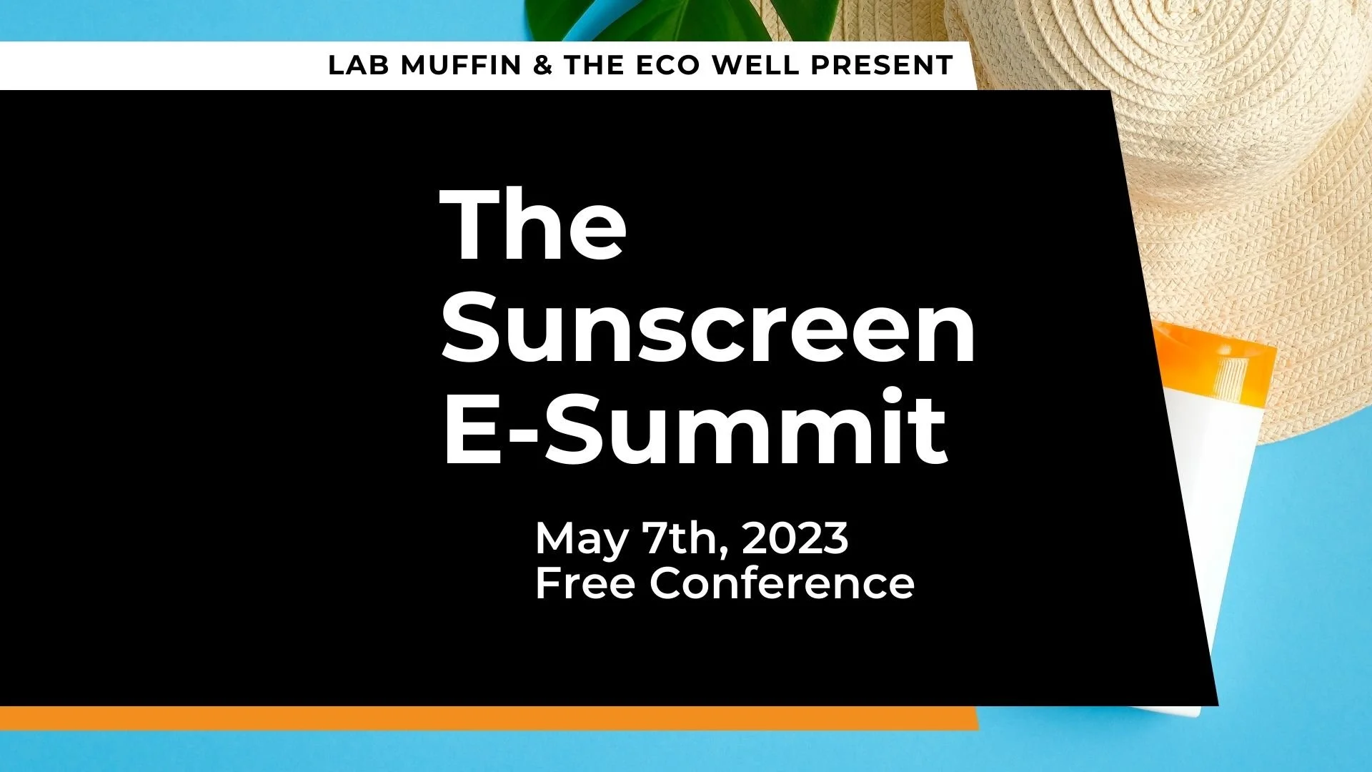 2023 Sunscreen E-Summit Replay