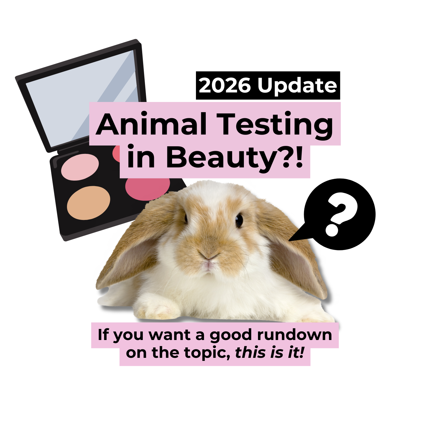 Animal Testing in Beauty?! A 2026 Update