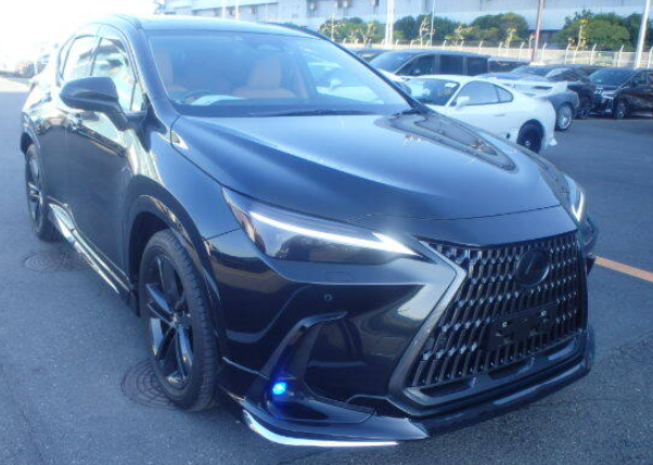 Lexus NX250 Version L