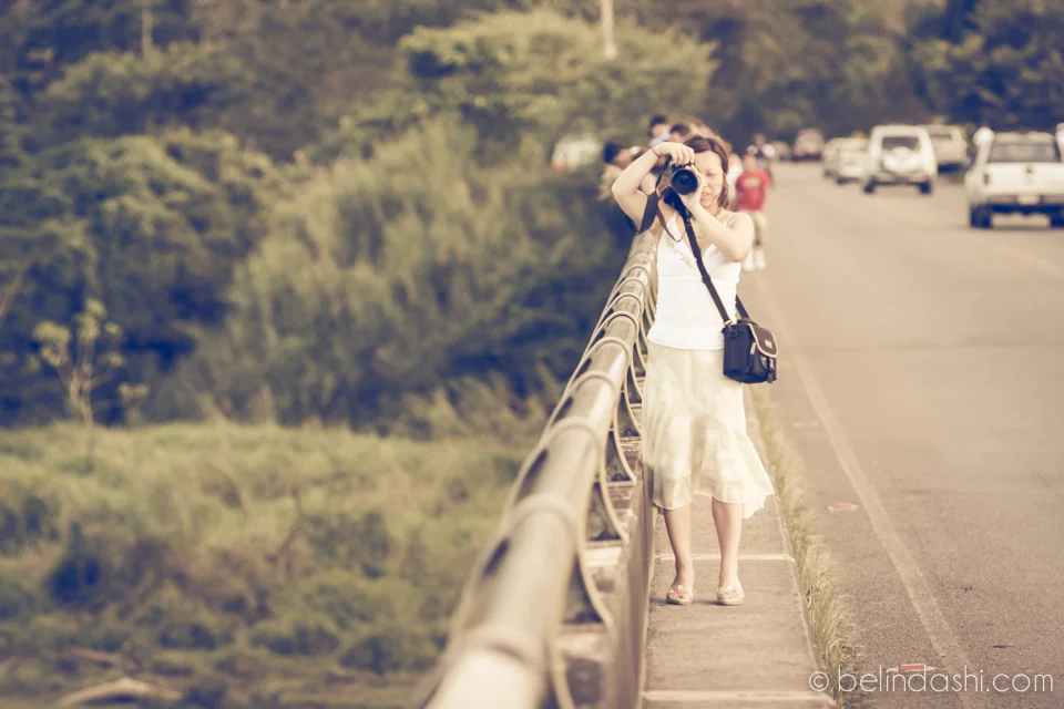 Which First DSLR Camera Should You Purchase?