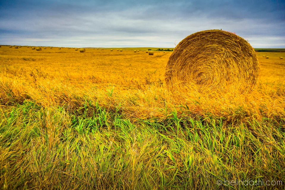 Fundamentals of Being A Great Photographer - From Ordinary To Extraordinary