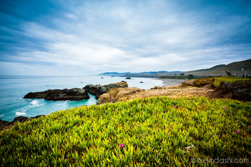 How To Keep Lightroom Workspace Clean & Efficient