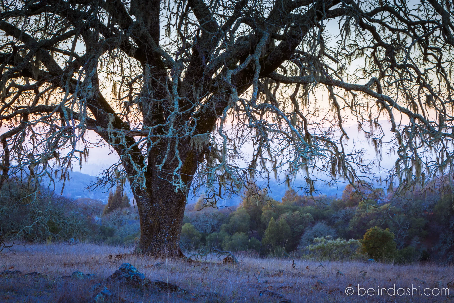 4 Easy Steps To Improve Your Composition