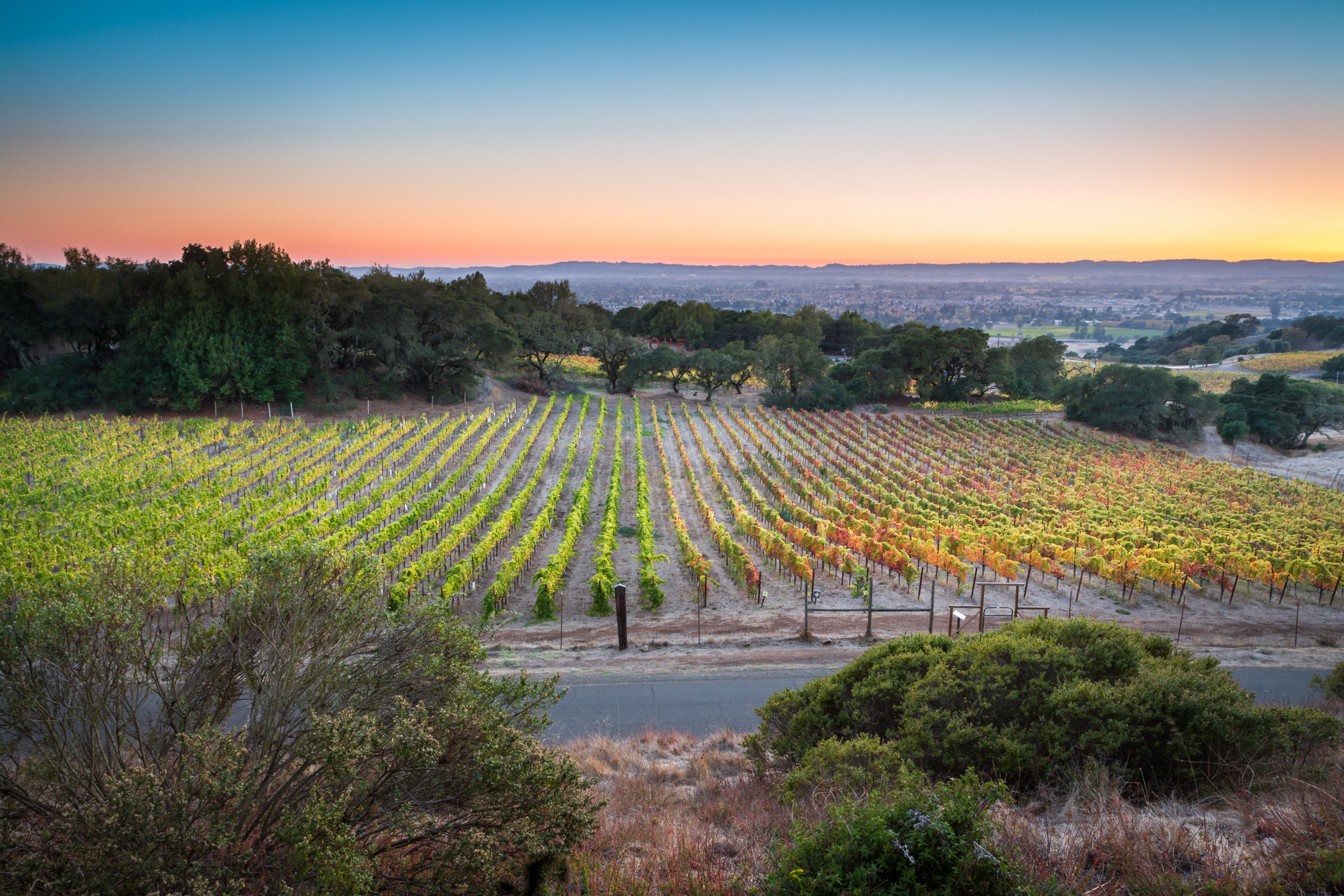 Day 71 - Sunset at Paradise Ridge Winery Sonoma CA-007.jpg