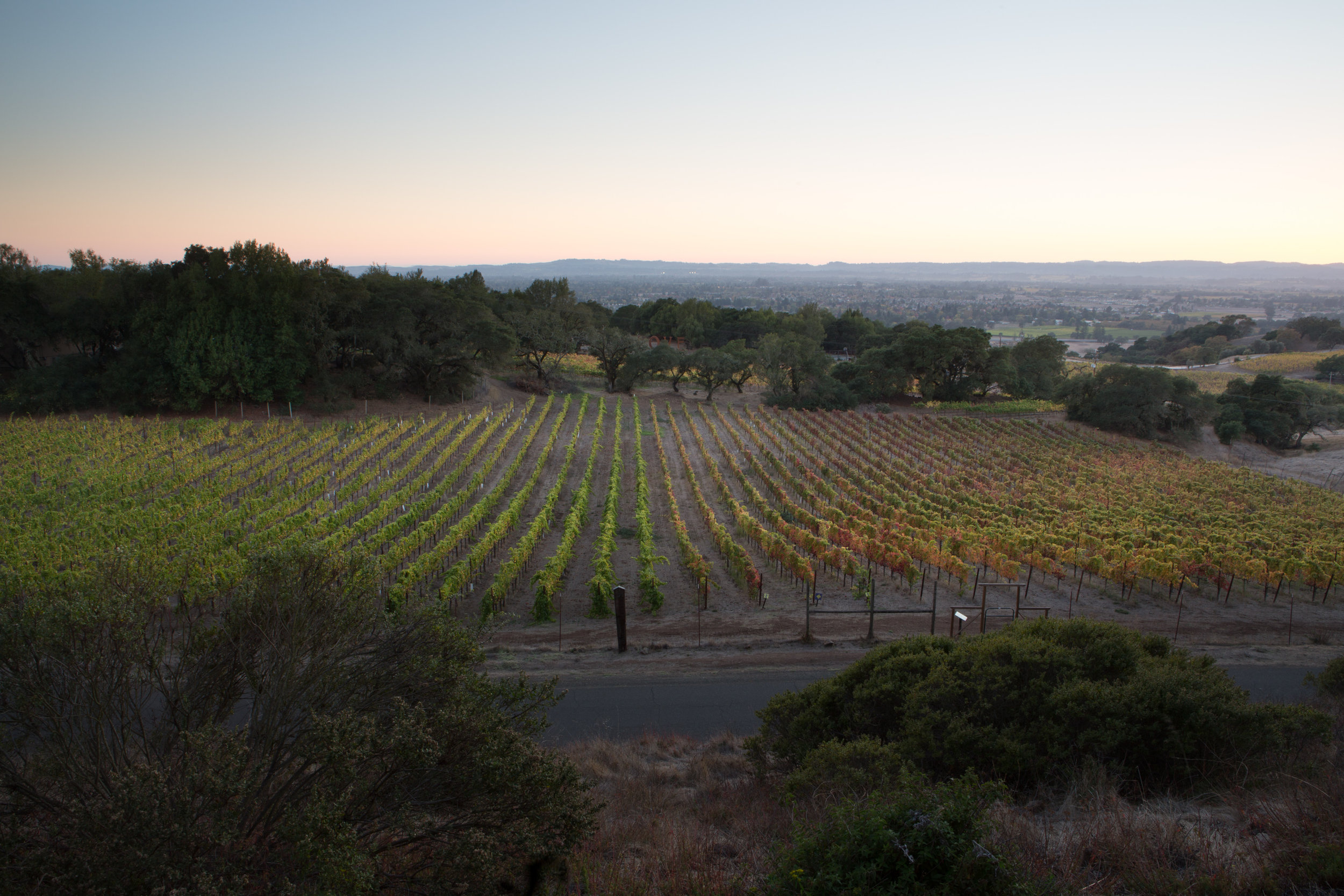 Day 71 - Sunset at Paradise Ridge Winery Sonoma CA-007-2.jpg