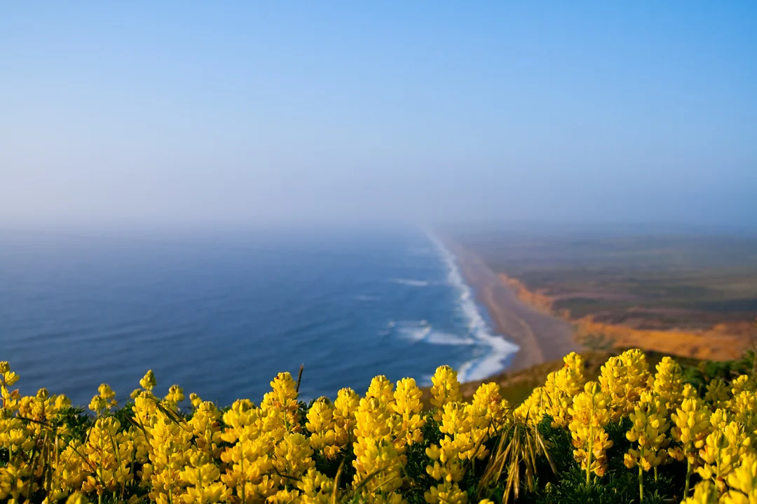 049the beach.jpg