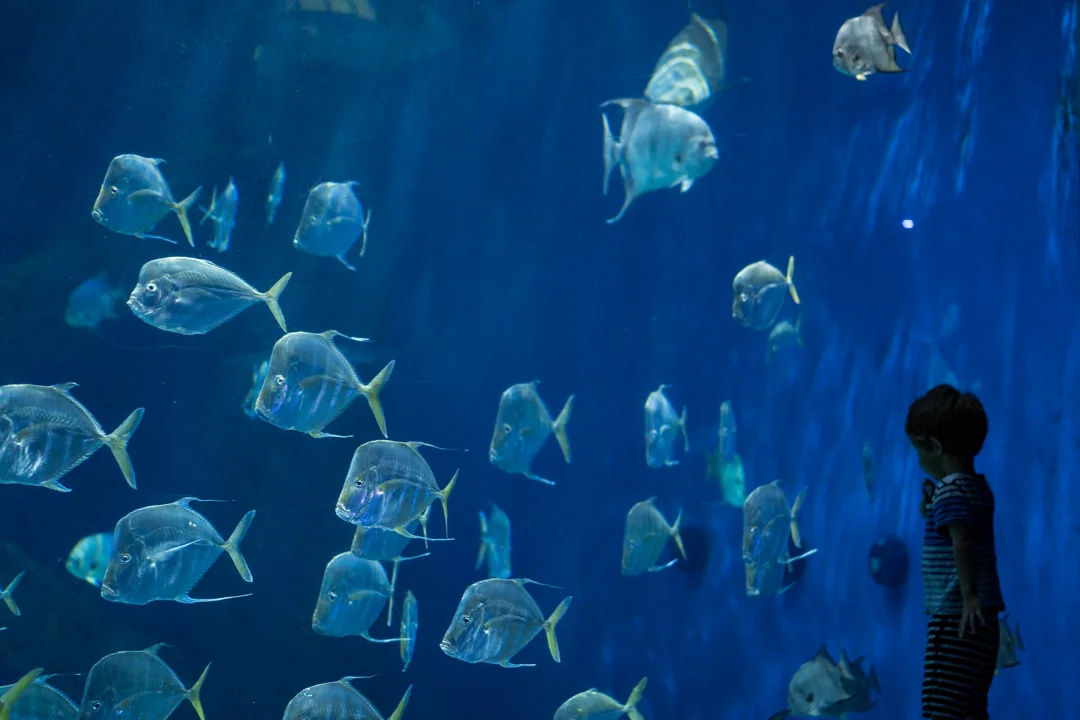 Virginia Beach Aquarium 2018-09-08-009.jpg