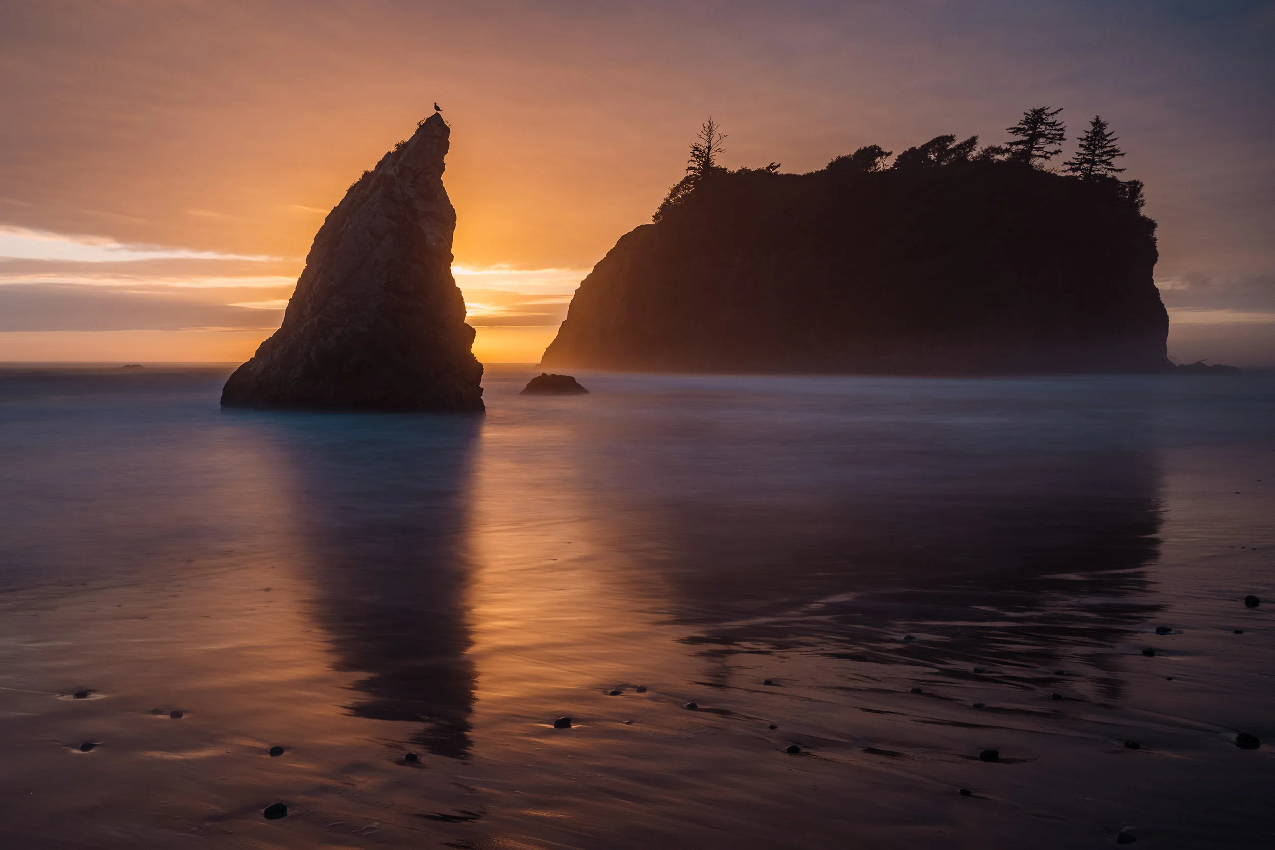 Our Favorite Beaches At Olympic National Park
