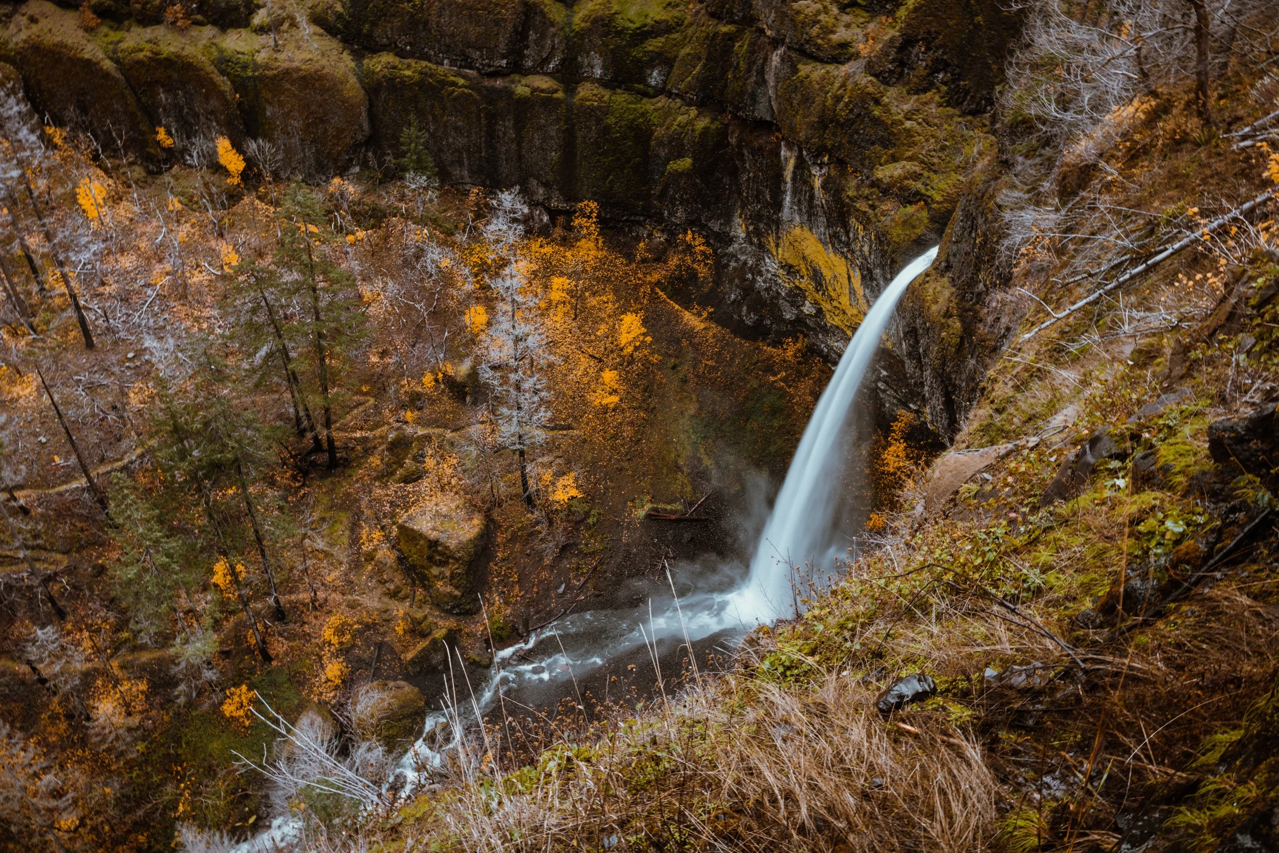 BSP_231B_Elowah Falls in fall color.jpg