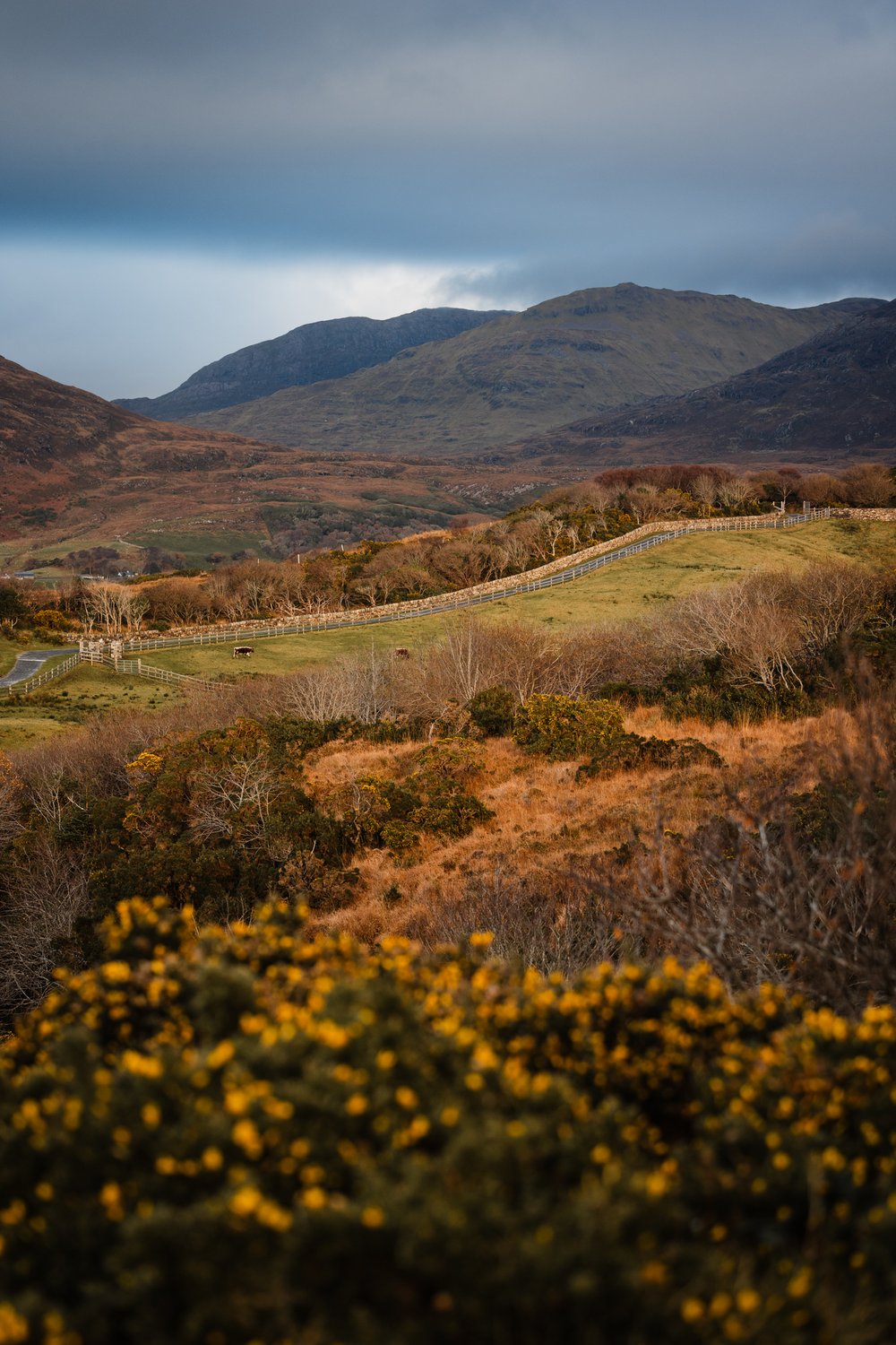 Diamond Hill hike Connemara NP Ireland 2023-12-04 022.jpg