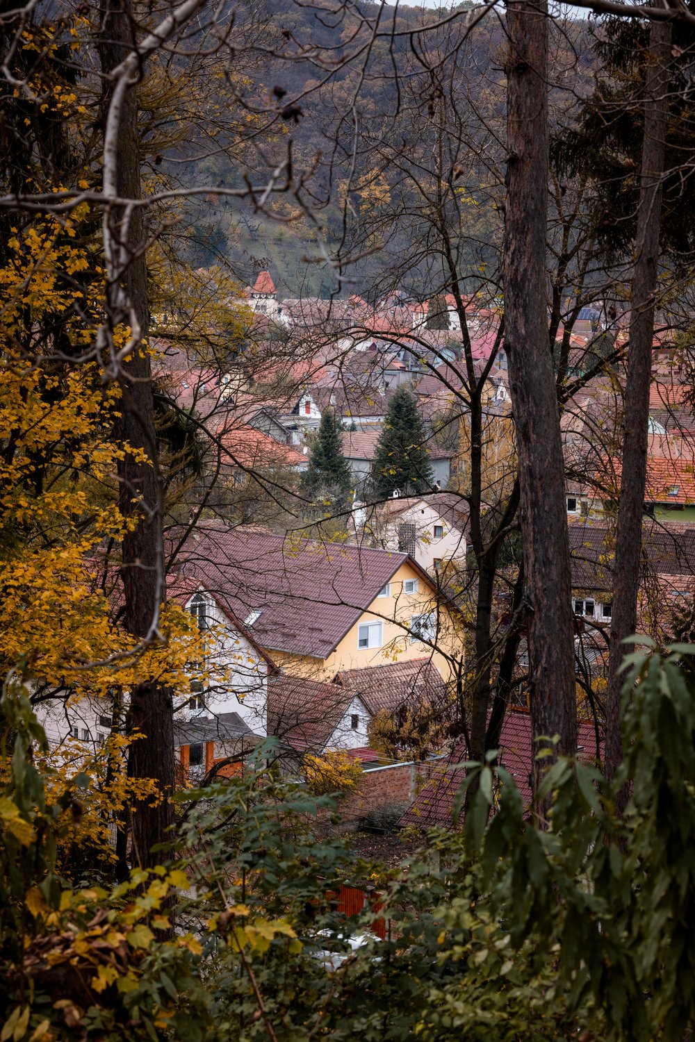 Sighisoara Evening Walk Romania 2023-11-03 003.jpg