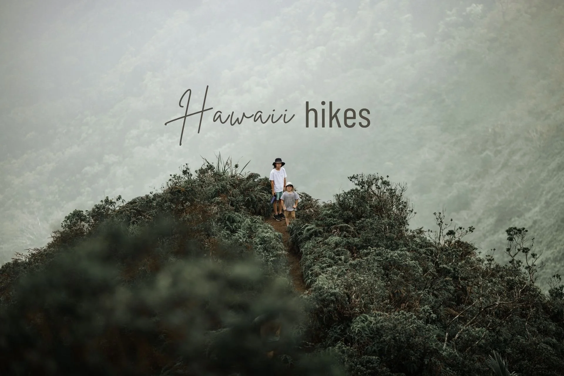 5 Scenic Hikes on Oahu for Photographers (Beyond the Popular Trails)