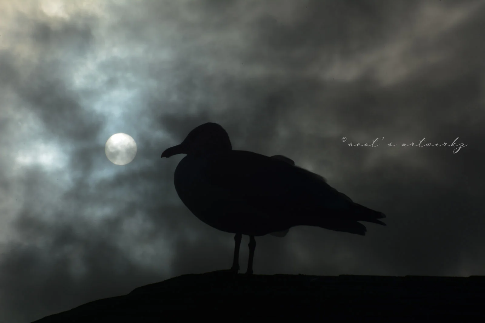 midnights moon