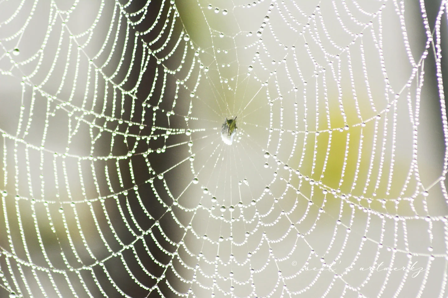 another web post
