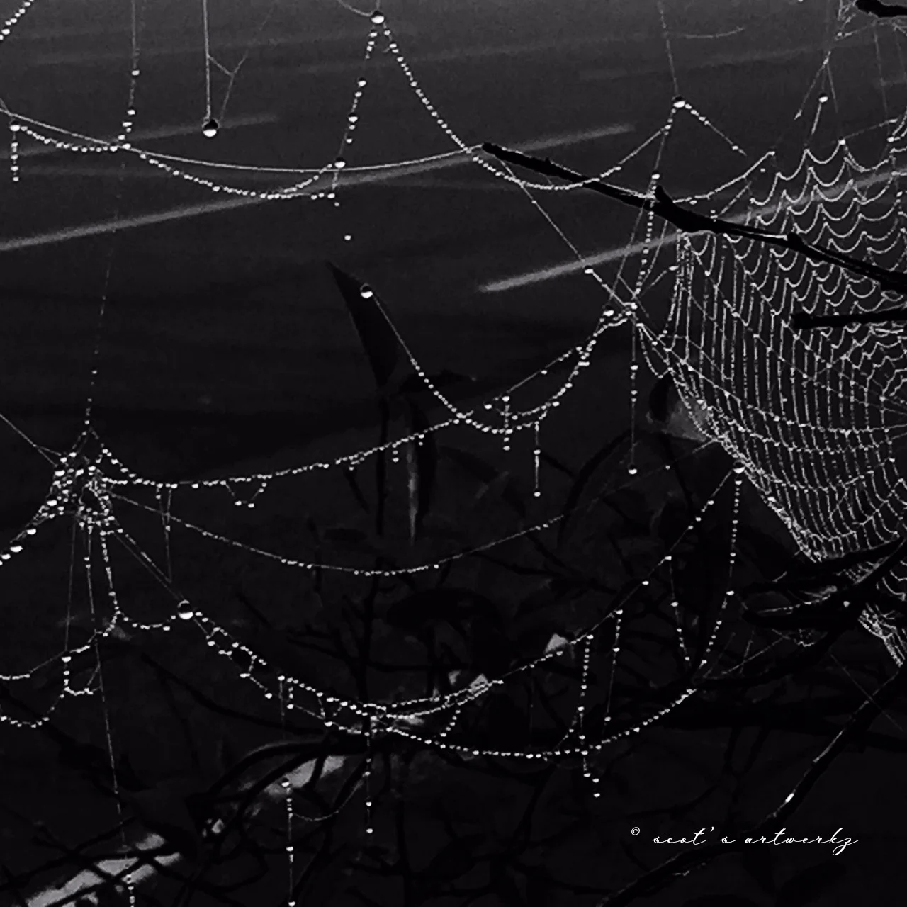 WEBDROP