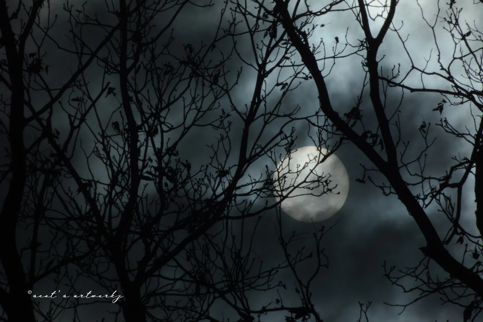 daylights nighttime
