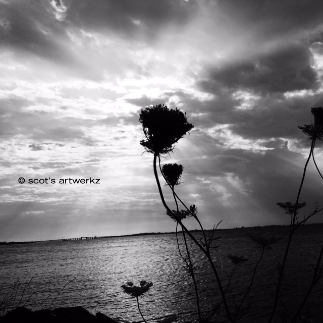 of dawnings light