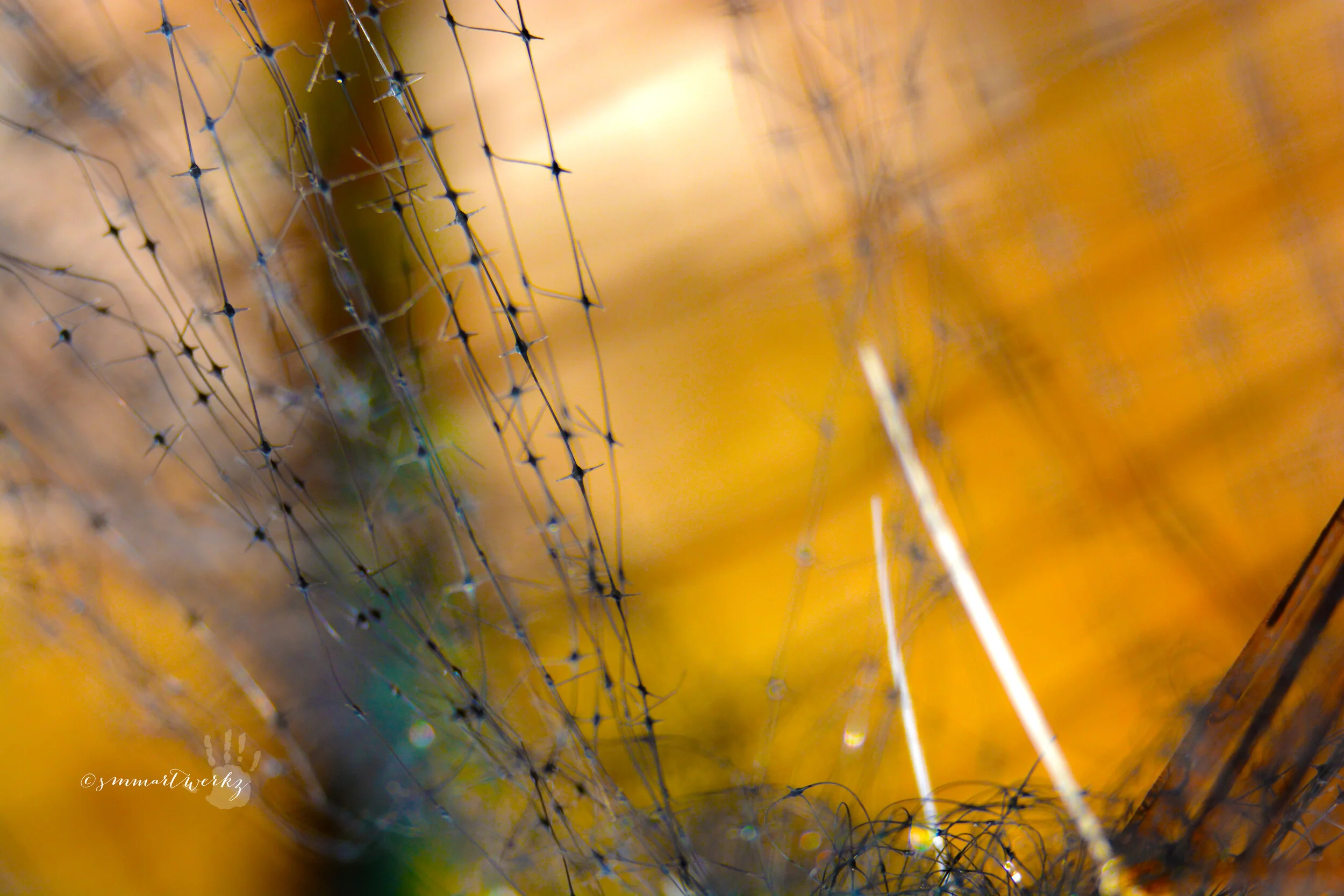 wired down