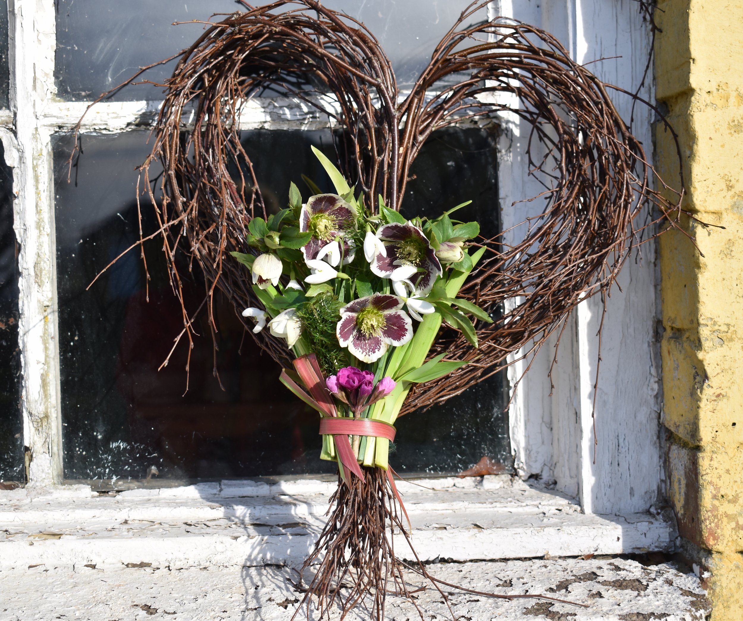 Heart birch, on Window ledge.JPG