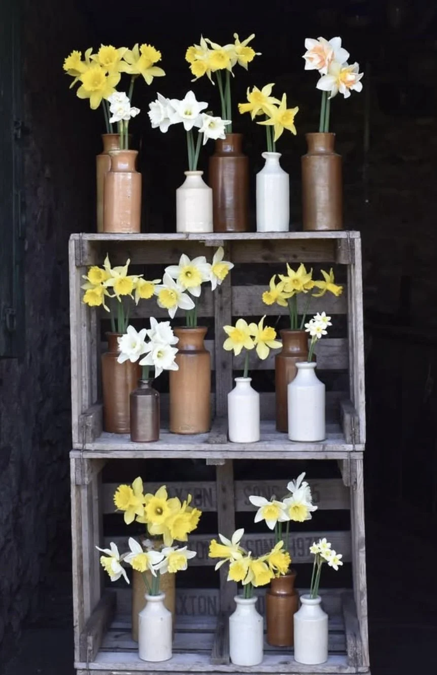 Vintage Bottles £10 each