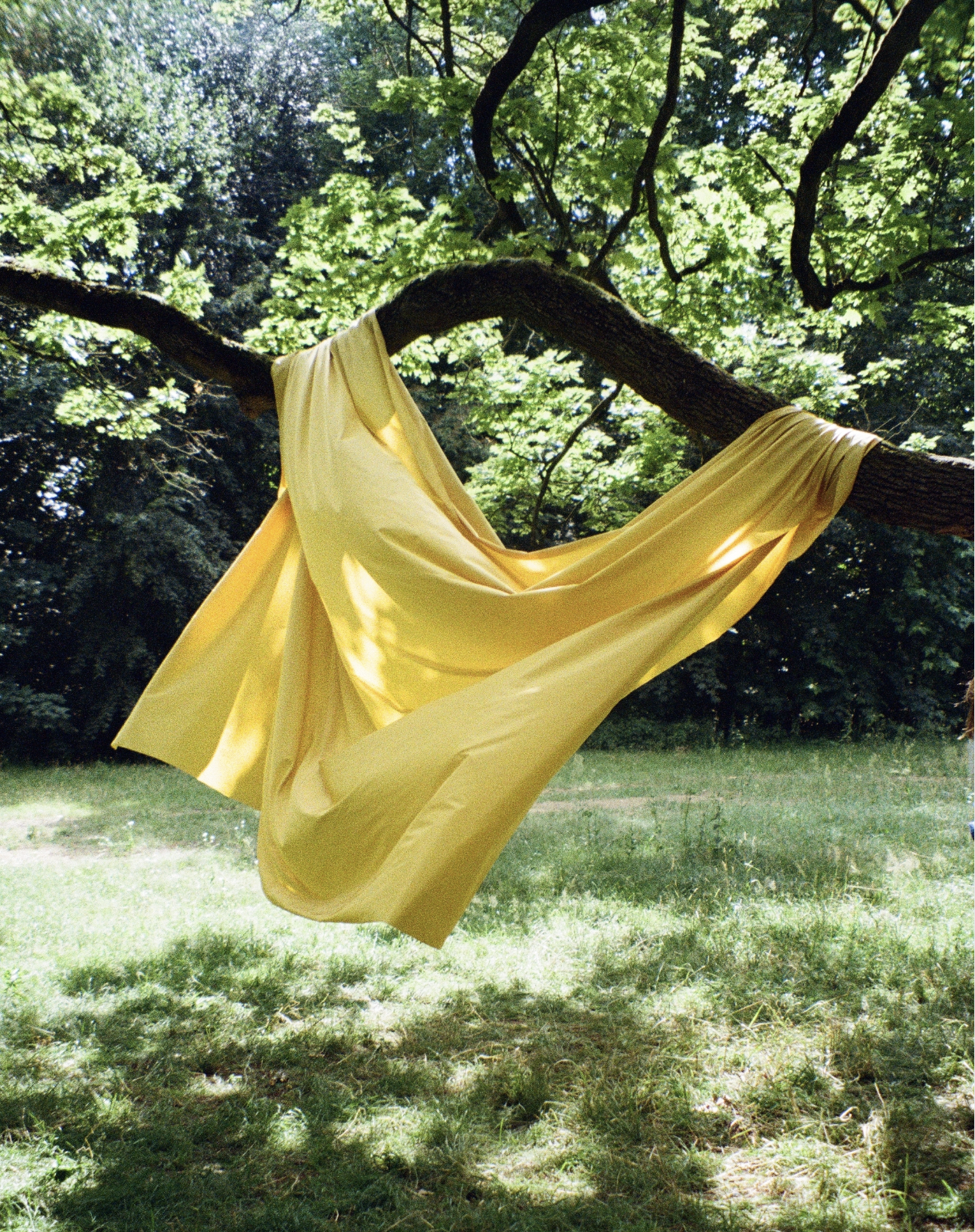 Screenshot 2024-02-29 at 11.27.14.png