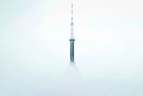 We The North according to neuroscience