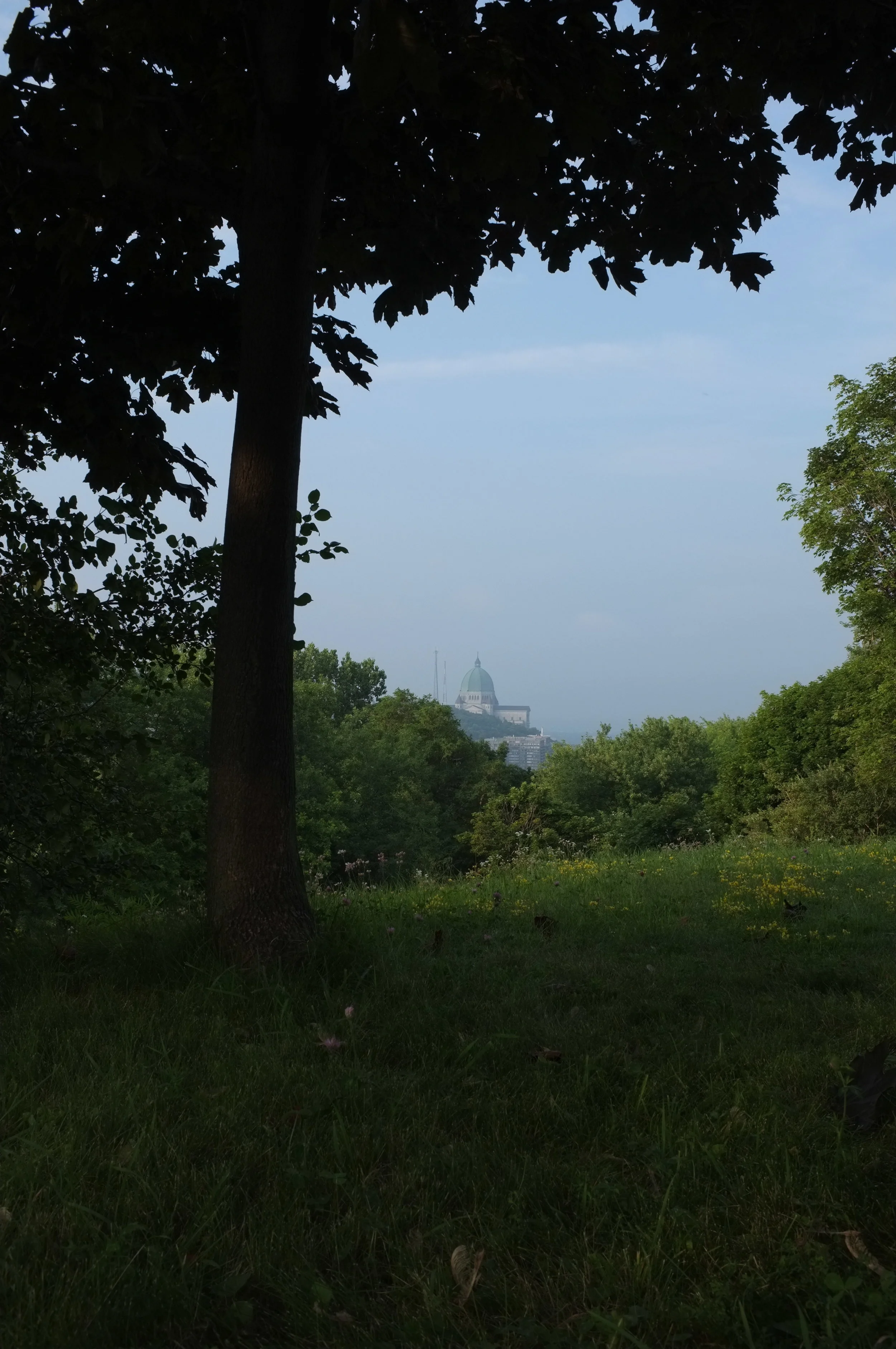 DSCF5590.JPG
