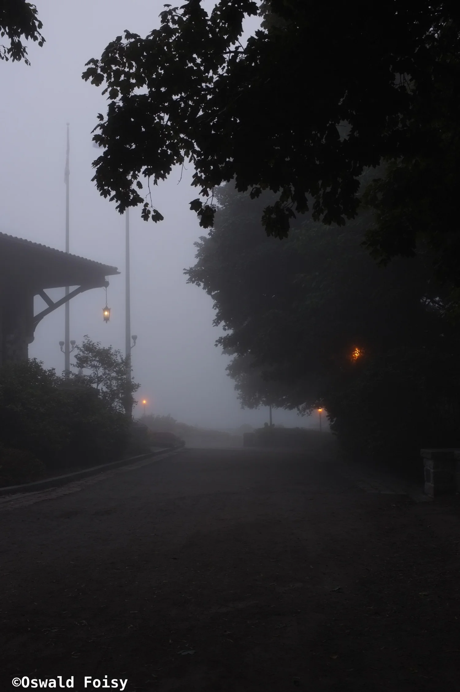 DSCF0074.jpg