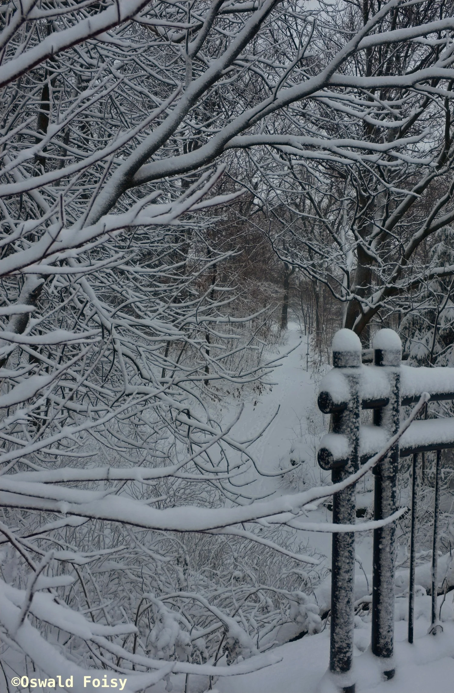 DSCF9122.jpg