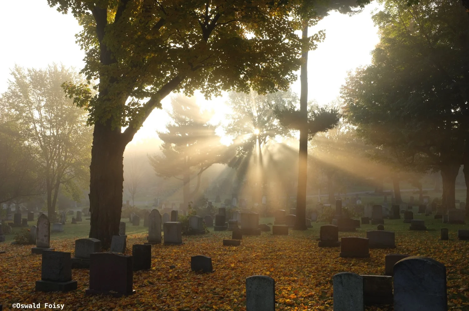 DSCF9196.jpg