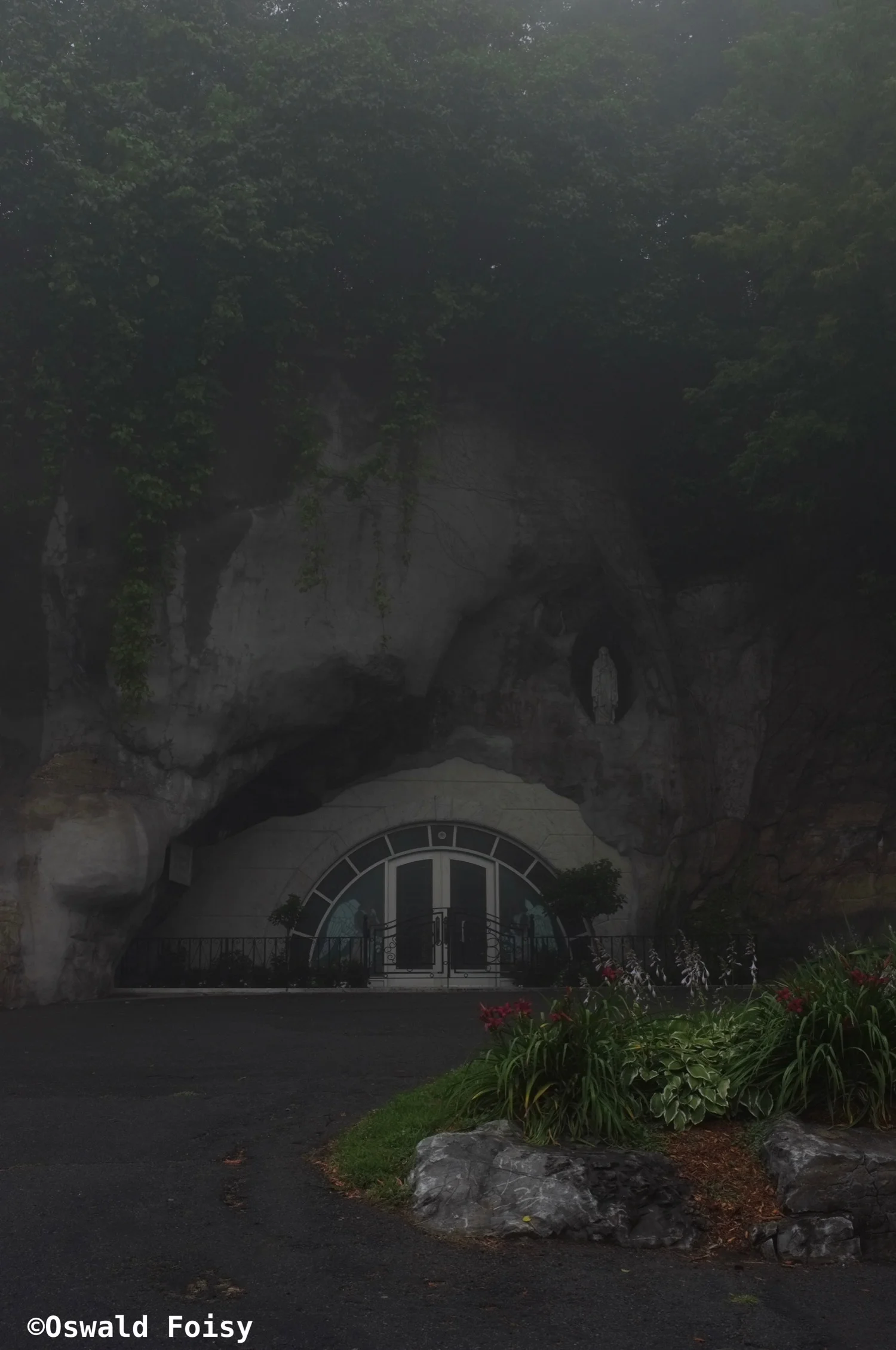 DSCF2381.jpg