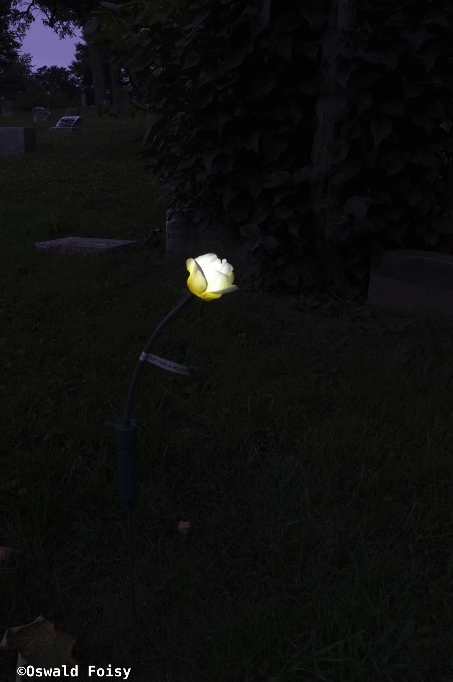 DSCF9832.jpg