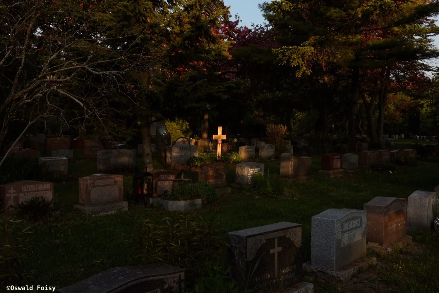 DSCF7497.jpg